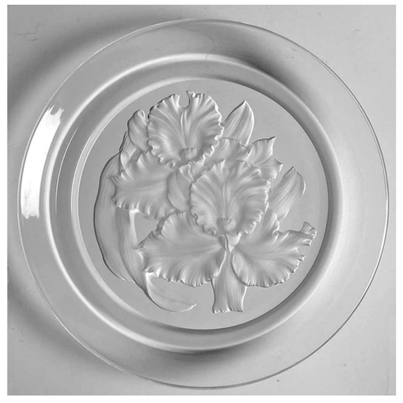 Hoya Other - Hoya  Flower Of The Month November-Orchids-Elegance T. Yamamoto